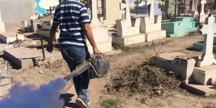 Listos panteones públicos del Municipio de Ahome para recibir a familias en el ritual del Día de Muertos.