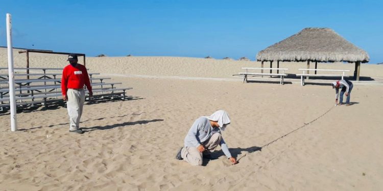 Pronostican tormenta de emociones en El Maviri